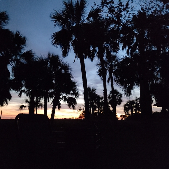 Meet your Posher, Matt. - Picture 4 of 5